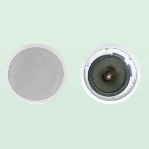 Huain Ceiling Speaker 10 inch 240W HY-C10